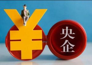 中央企業