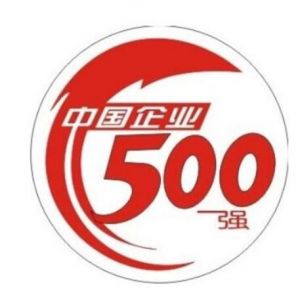 中國企業500強
