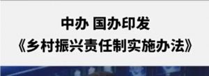 鄉村振興責任制實施辦法