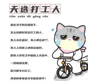 天選打工人
