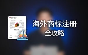 注冊海外公司