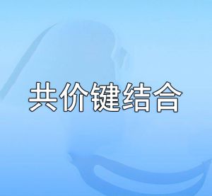 共價鍵結(jié)合