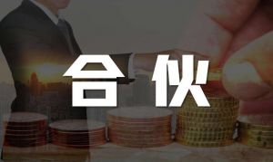 合伙企業(yè)