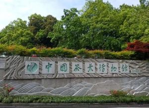 中國茶葉博物館