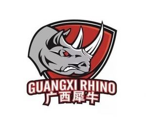 廣西威壯籃球俱樂部