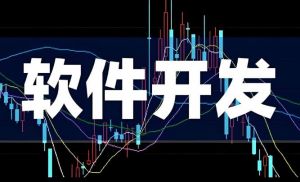 軟件開發