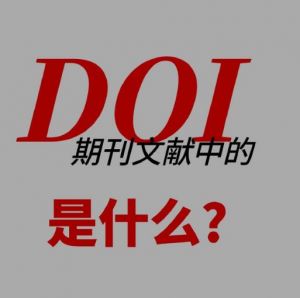 數(shù)字對(duì)象標(biāo)識(shí)符