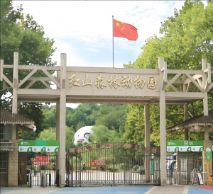 紅山森林動(dòng)物園