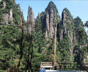 莽山·五指峰景區(qū) 莽山·五指峰景區(qū)