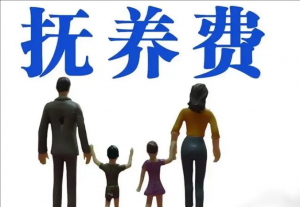 社會(huì)撫養(yǎng)費(fèi)
