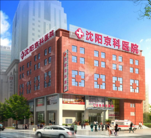 沈陽京科醫院