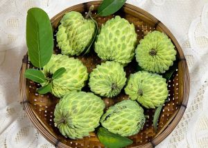 番荔枝